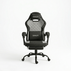 ESHLEY Ergonomic Gaming Chair